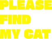 난 고양이를 잘 몰라